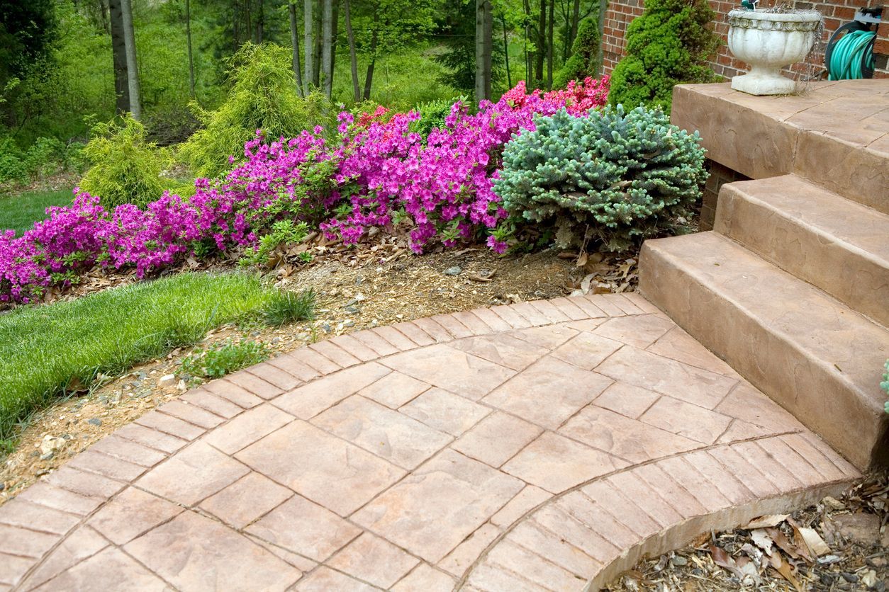 A patio with stairs and flowers in the background.