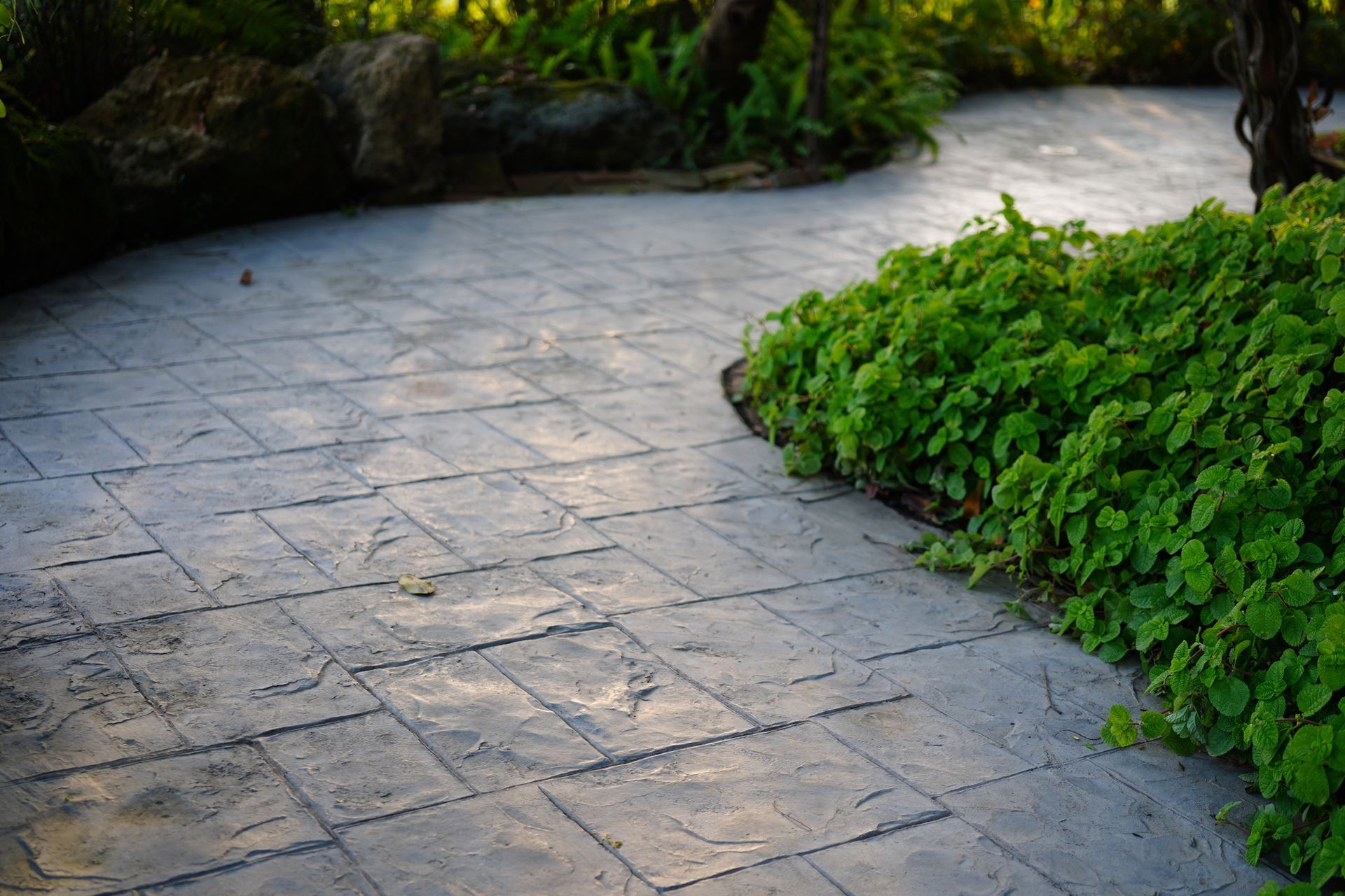 Stamped concrete commercial walkway and garden.