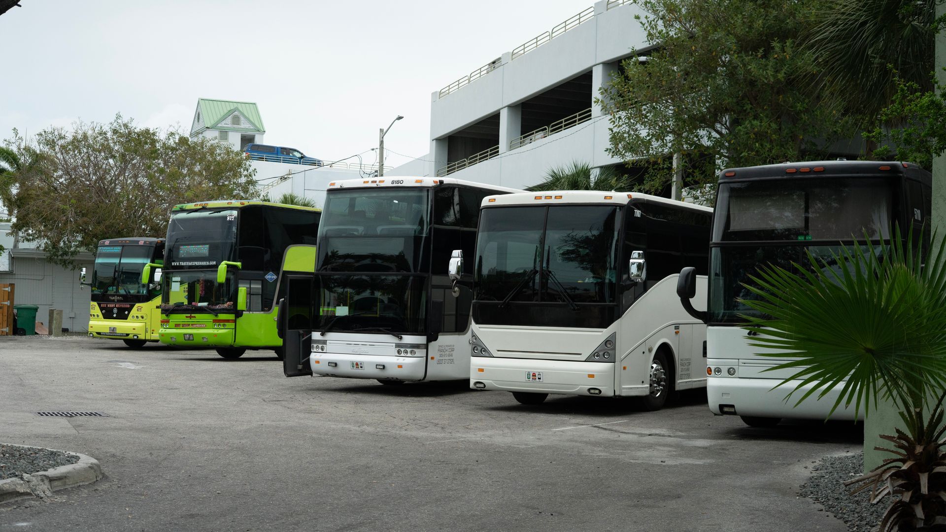 Tour buses parked in Key West ready for the return trip, part of the full-day sightseeing adventure from Downtown Miami