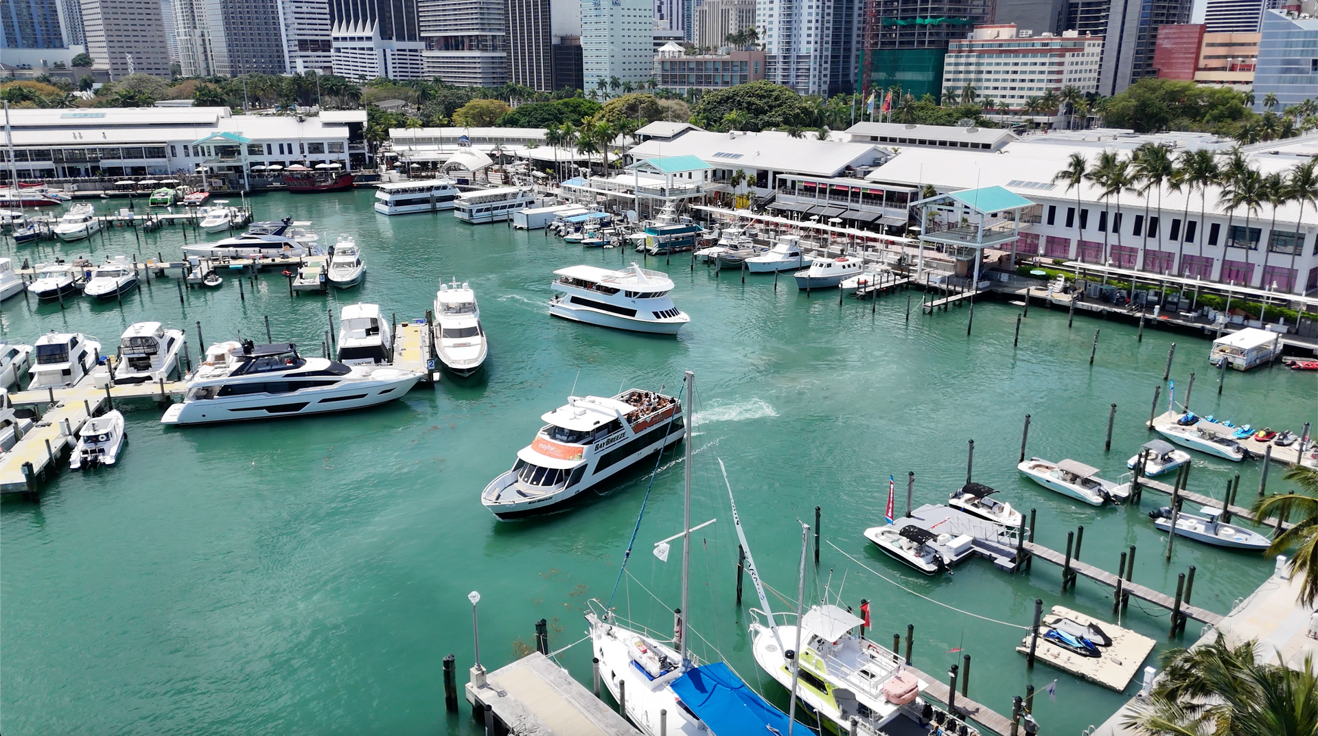 Bayside Boat tours in Bayside Marina