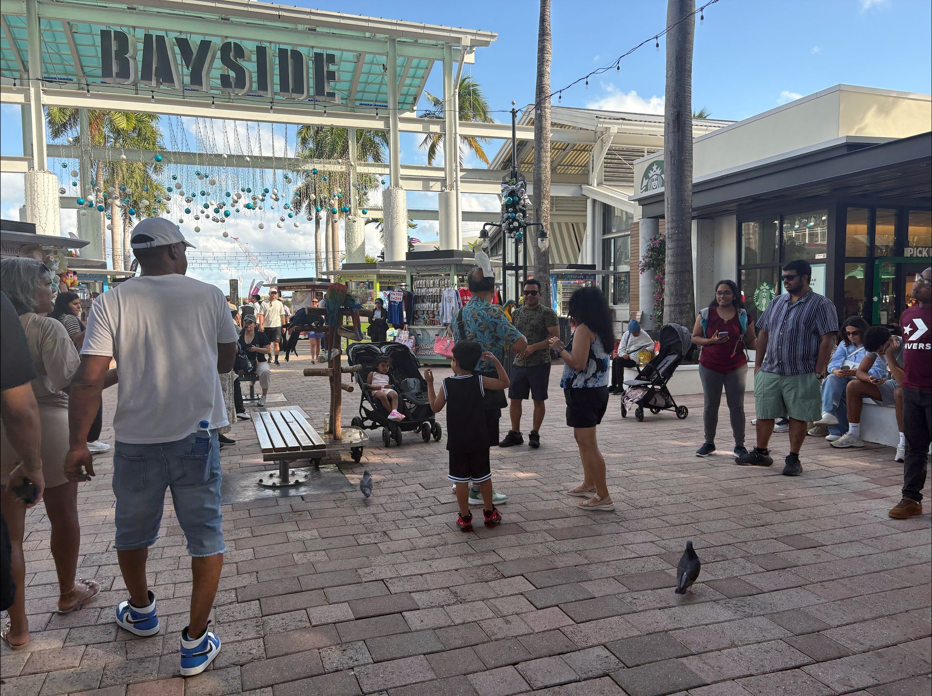 People watching in Miami from Bayside Marketplace