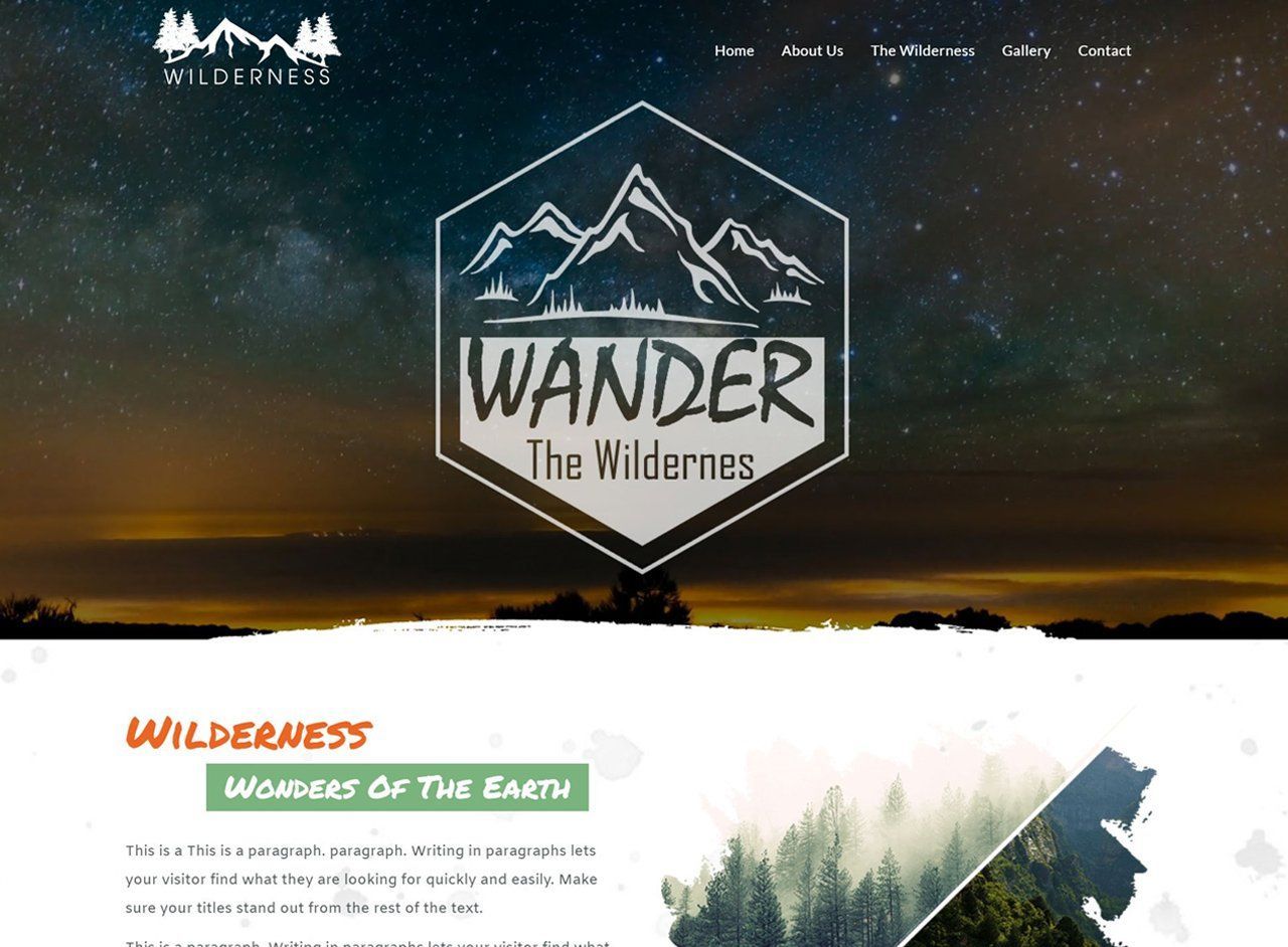 Portfolio Websites