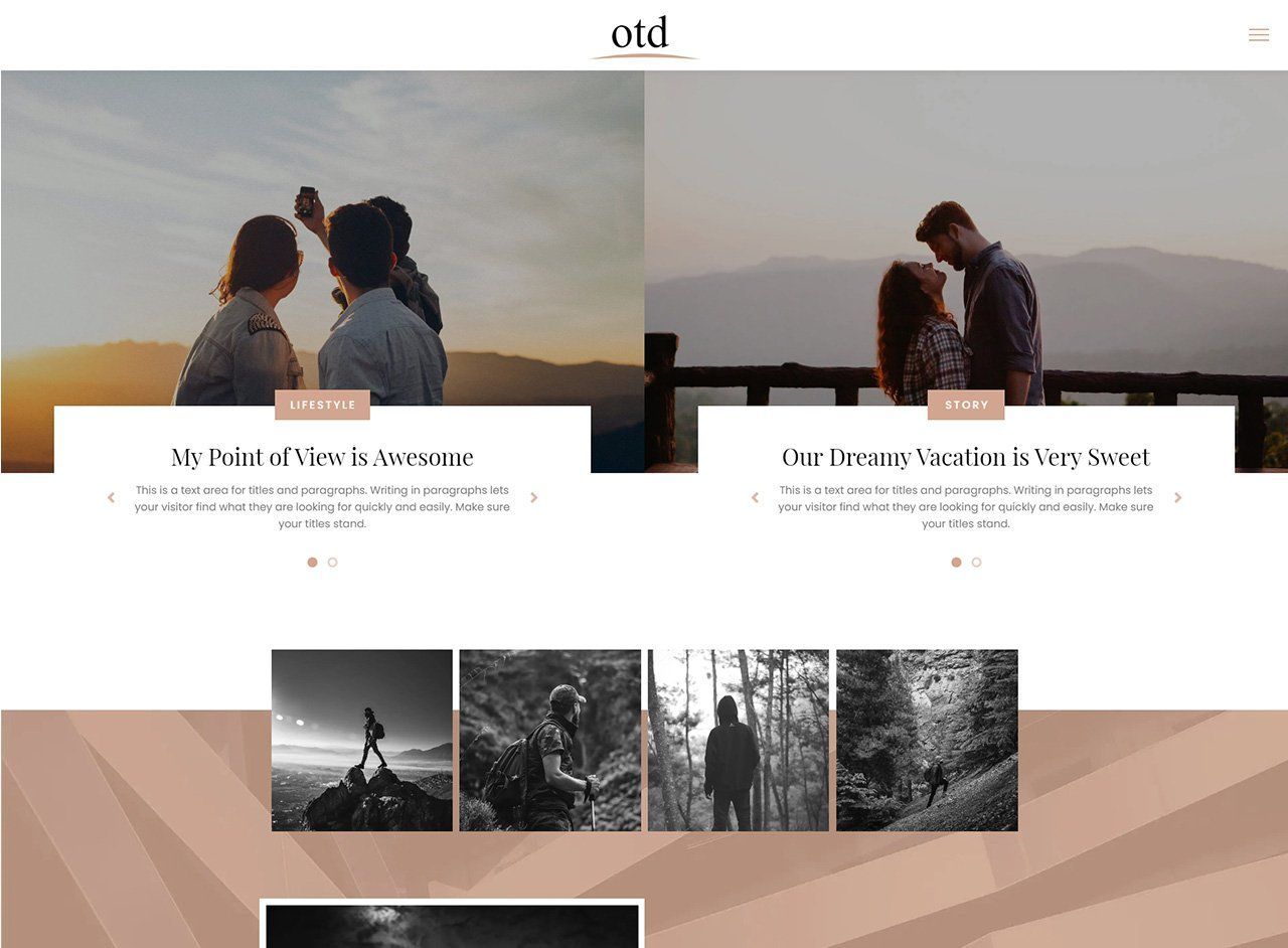 Portfolio Websites