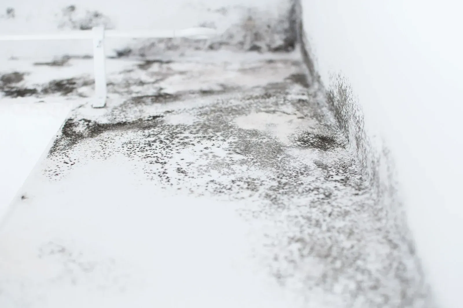 Mold growth on a white ceiling and wall.