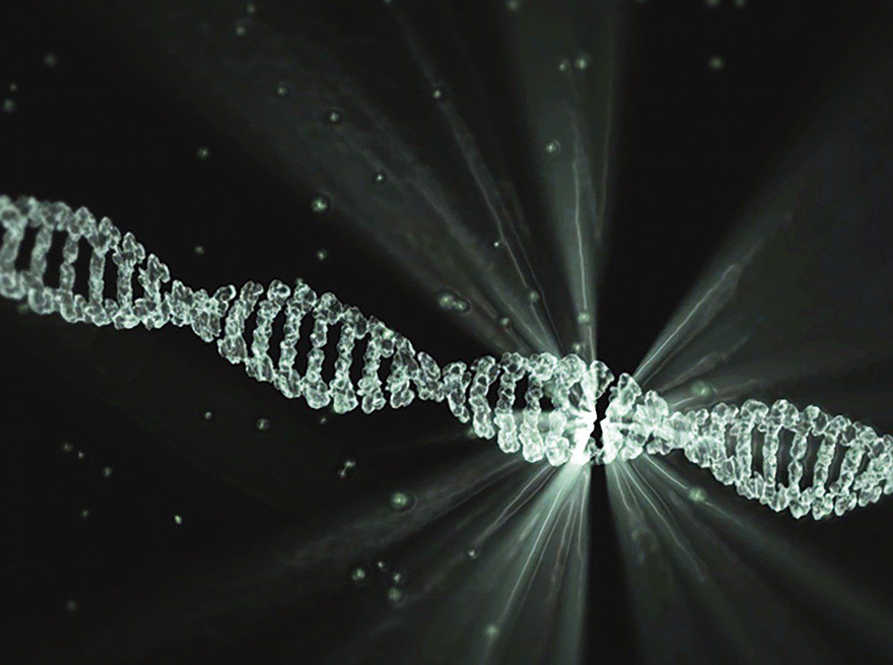 epigenetica, pnei, darwin, lipton, mente, geni, genetica, DNA, cambiamento