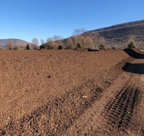 A dirt road going through a field with mountains in the background