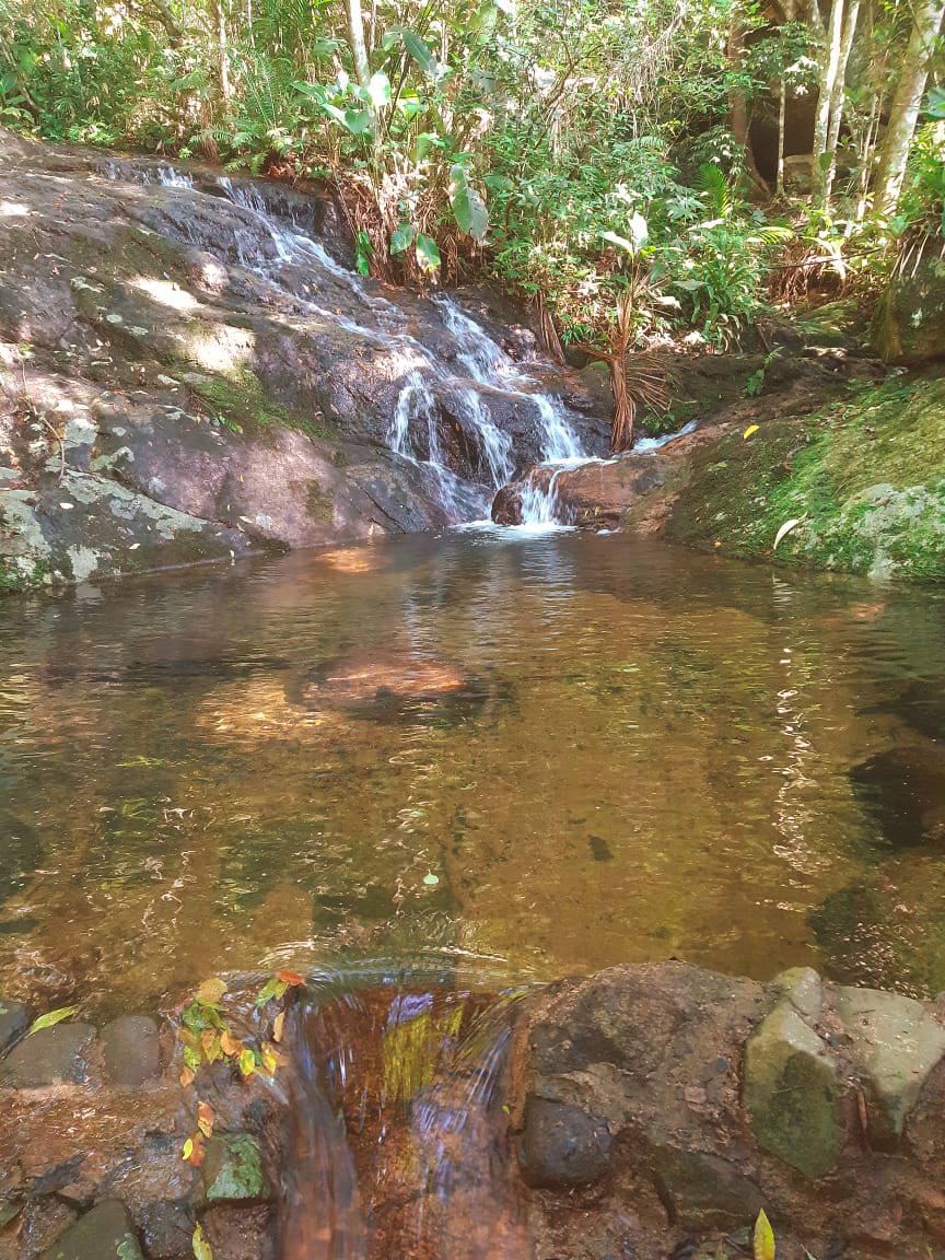 Pequena cachoeira que deságua sobre rochas em uma piscina natural de águas cristalinas, cercada por árvores verdes.