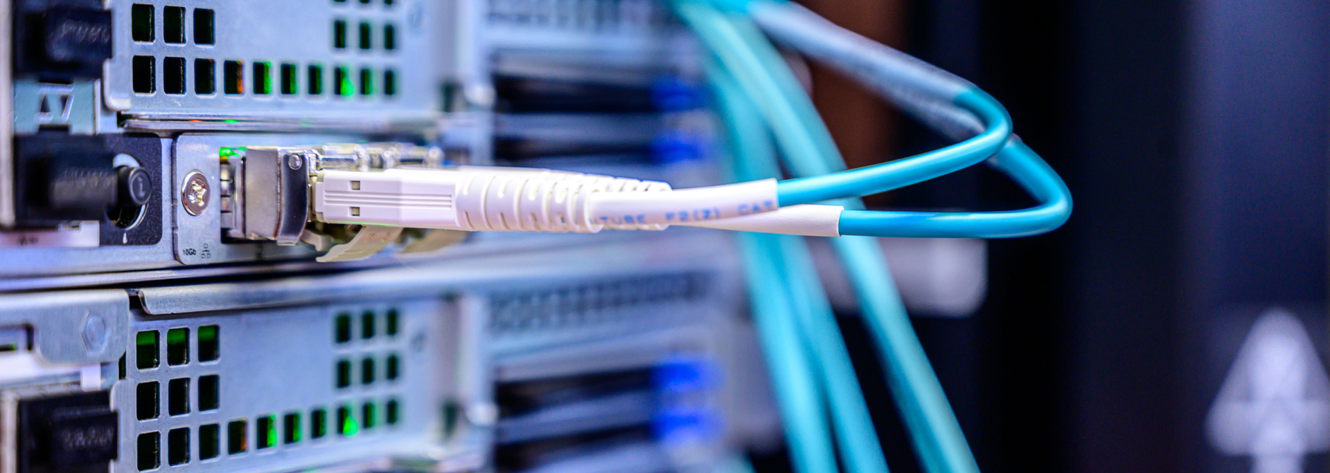 Picture of cables i the back of a server. 