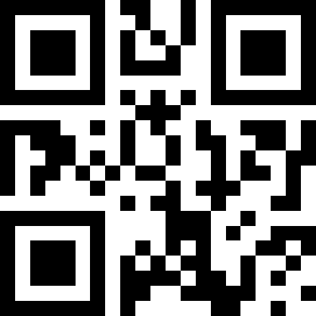 Black-and-white QR code centered on a white background
