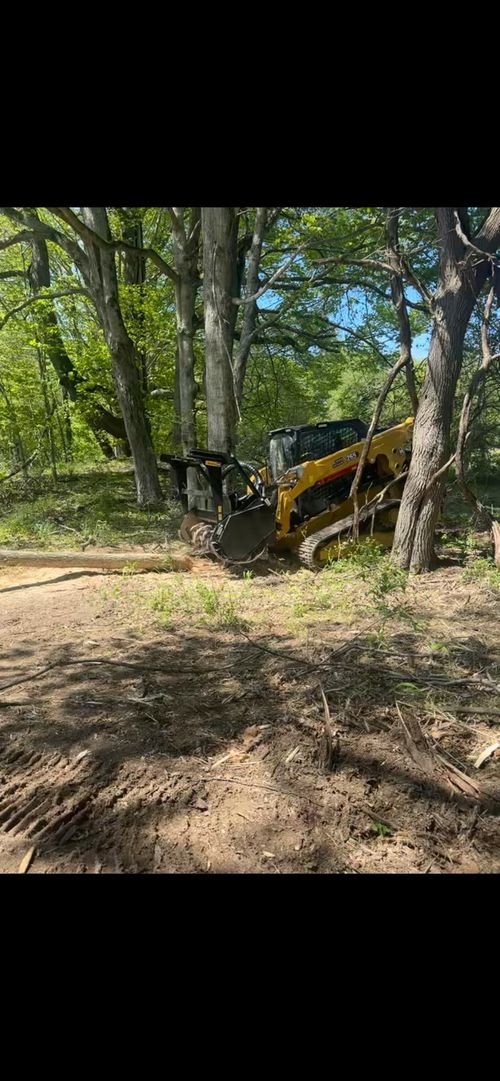 Yellow utility vehicle on a wooded dirt trail, partially hidden among trees.