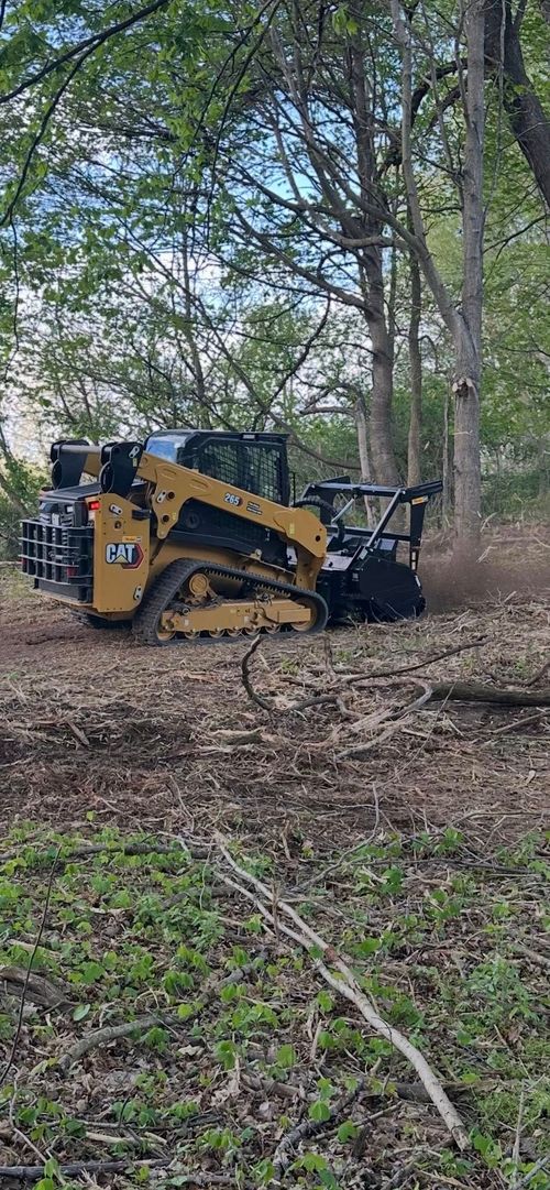 Yellow skid-steer loader in a wooded area, clearing fallen branches and brush.