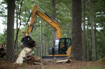 Yellow excavator uproots a tree stump in a forest clearing among tall pine trees.