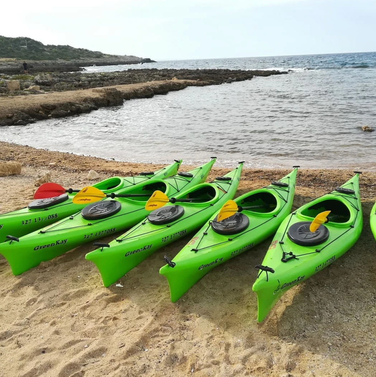Quattro kayak verde brillante erano allineati su una spiaggia rocciosa, in riva a acque calme.