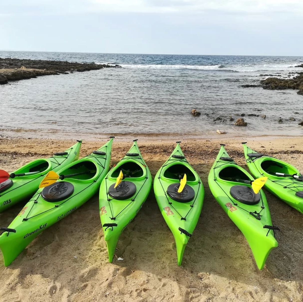 Kayak di un verde brillante allineati su una spiaggia sabbiosa in riva alle calme acque dell'oceano.
