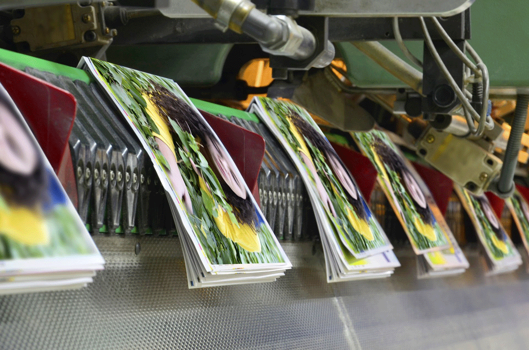 An image of industrial document copying being printed near Euless, TX