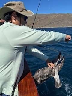 Man fishing on a boat, holding a bird in the water. Blue water and sky, brown hat, and light green shirt.