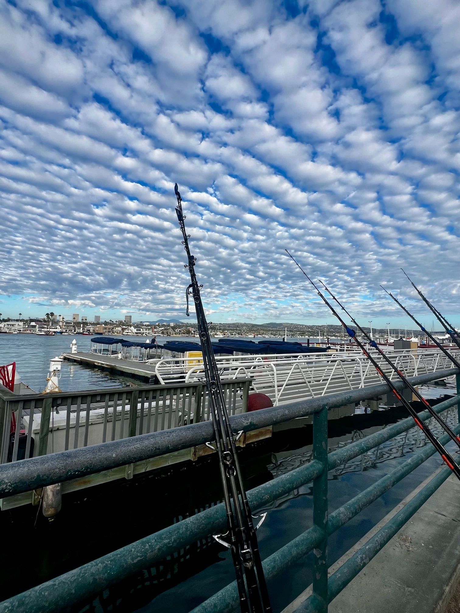 Fishing rods on a pier, harbor and city in the background, under a blue sky with cloud patterns.