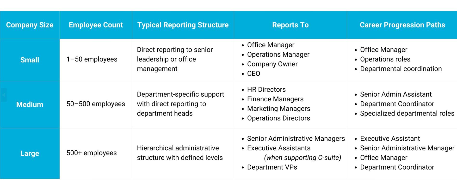 A table comparing administrative reporting structures and career paths across small, medium, and large company sizes.