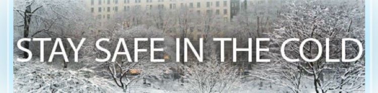 The text