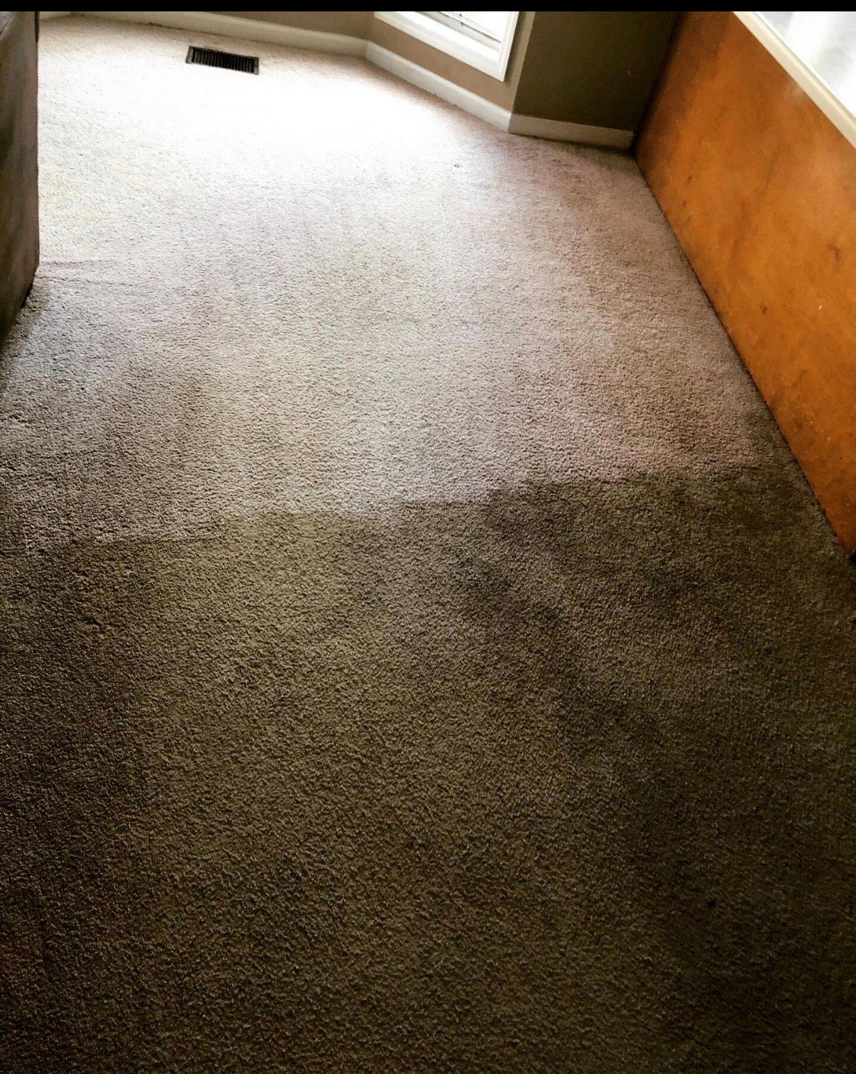 Carpeted floor with a visible clean patch, likely after cleaning.