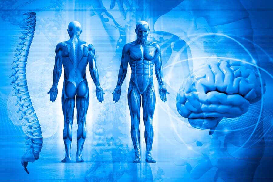 DR. J. MAURICIO LÓPEZ MANRIQUE- ortopedia