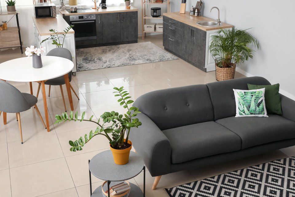 A living room with a couch , table , chairs and potted plants.