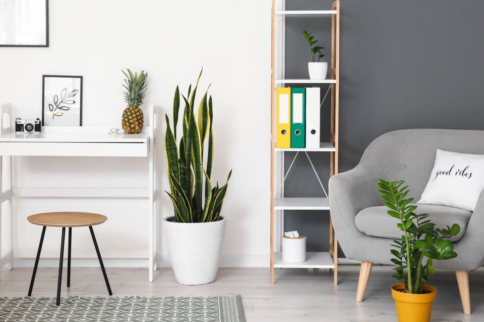 A living room with a couch , desk , chair and potted plants.