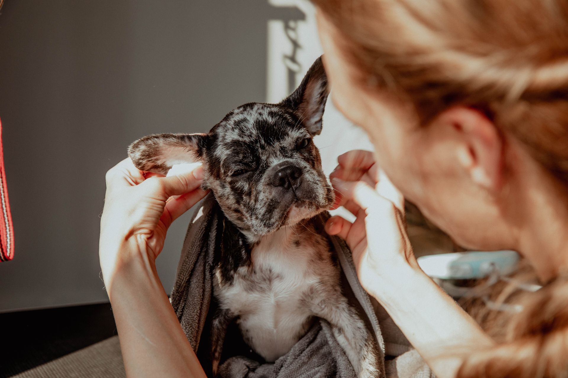 A woman is holding a small dog wrapped in a blanket.