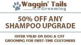 coupon