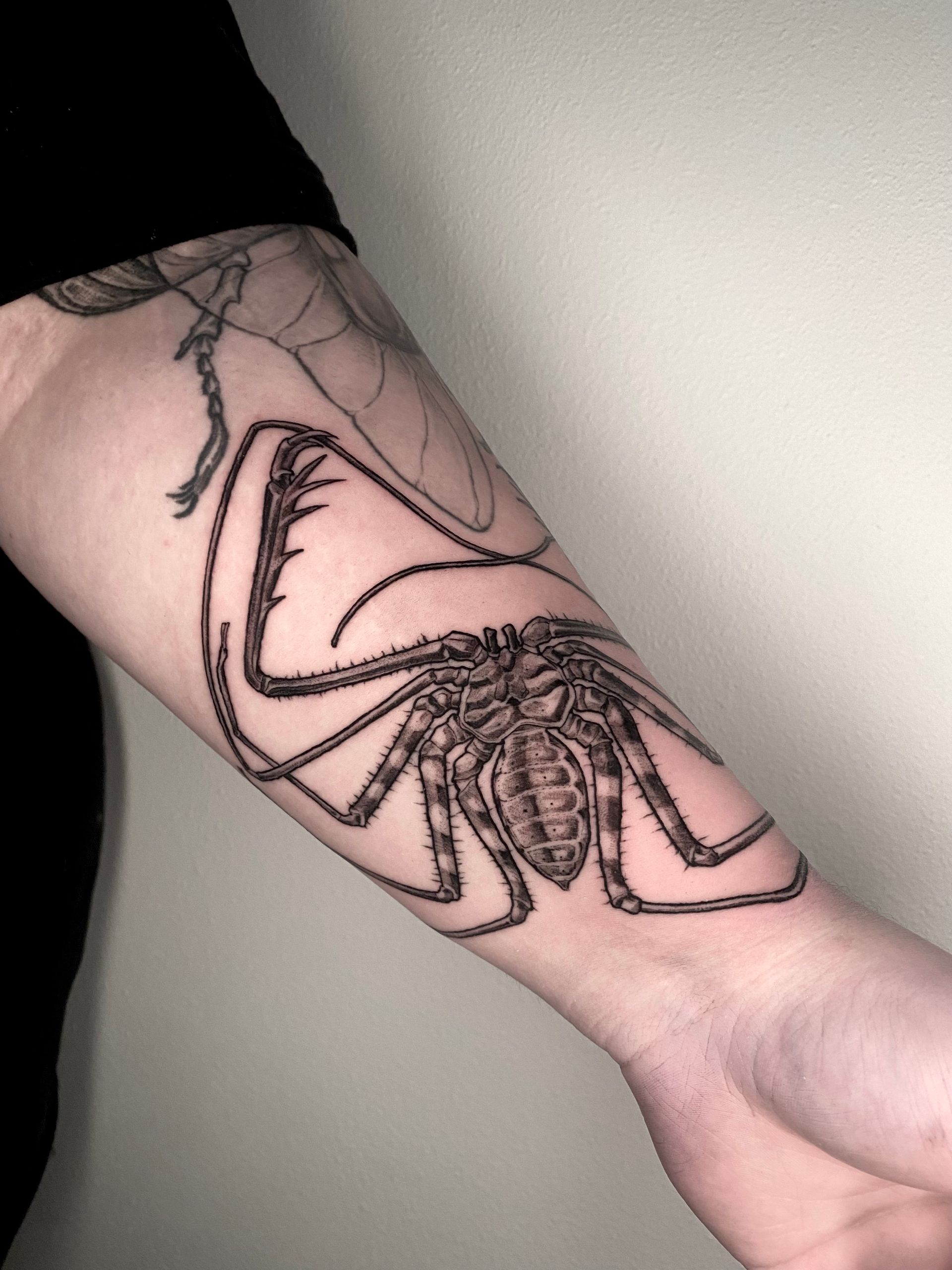 Best Tattoo Shop In San Antonio l Platinum Tattoos & Piercings