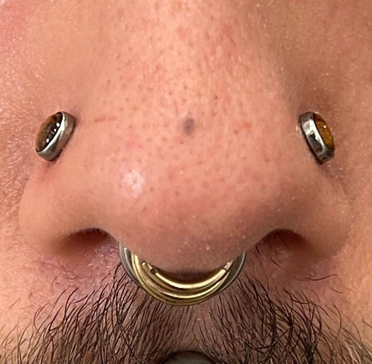 Septum Piercing Near Me l Platinum Tattoos and Piercings