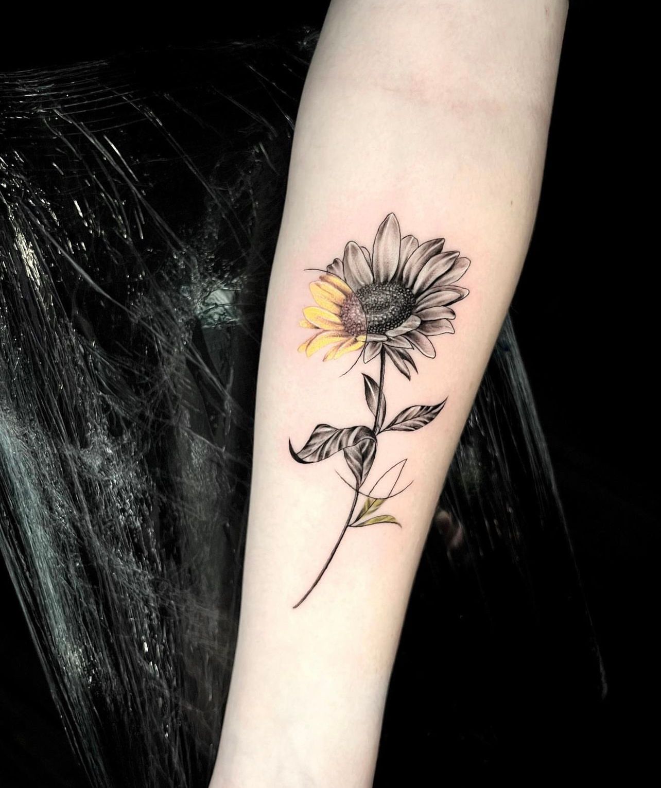 Tattoo Styles Platinum Tattoos San Antonio, Tx