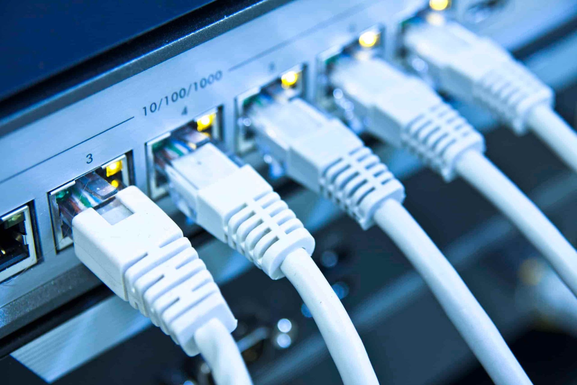 White Ethernet Cables Plugged Into a Network Switch — Pacific Telephone & Data In Cardiff, NSW