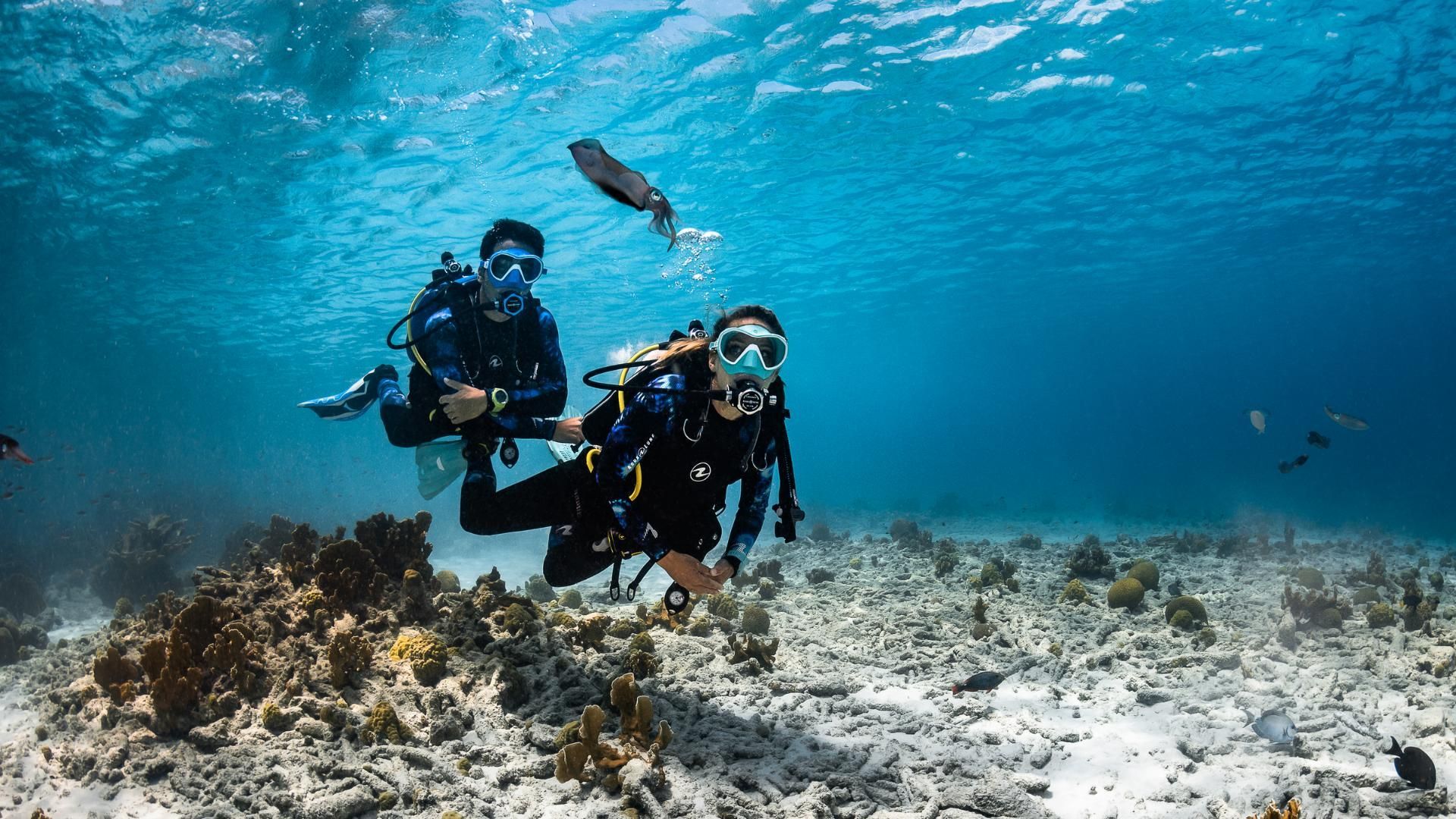 PADI scuba divers underwater in Fujairah with Nemo Diving Center