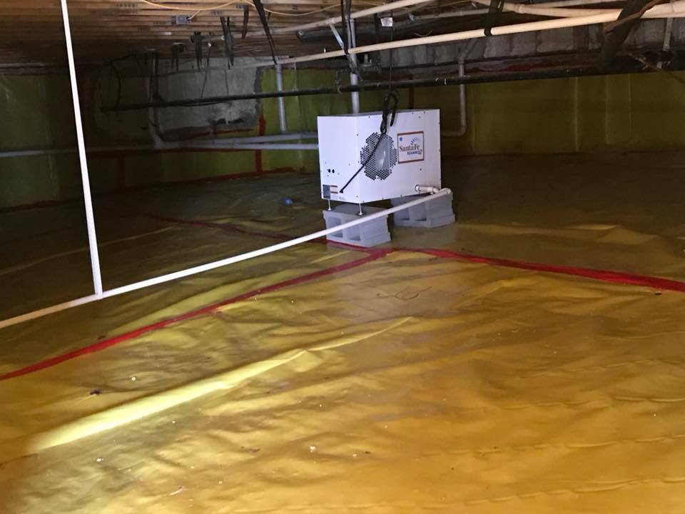Moisture Control | Martinez, GA | Riggins Pest & Moisture Control