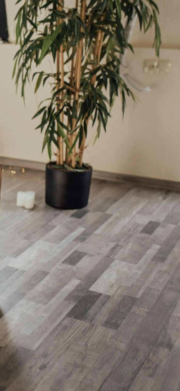 A potted plant is sitting on a wooden floor in a room.