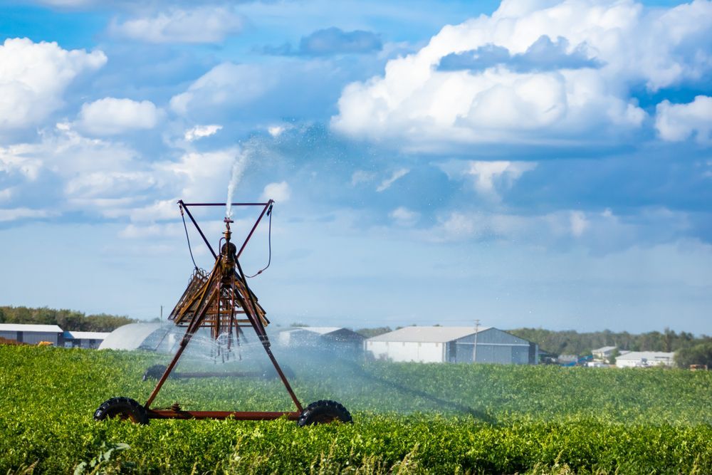 Irrigation Sprinkler Spraying Water Over a Field of Green Crops — Local Drilling Services In Esk, QLD