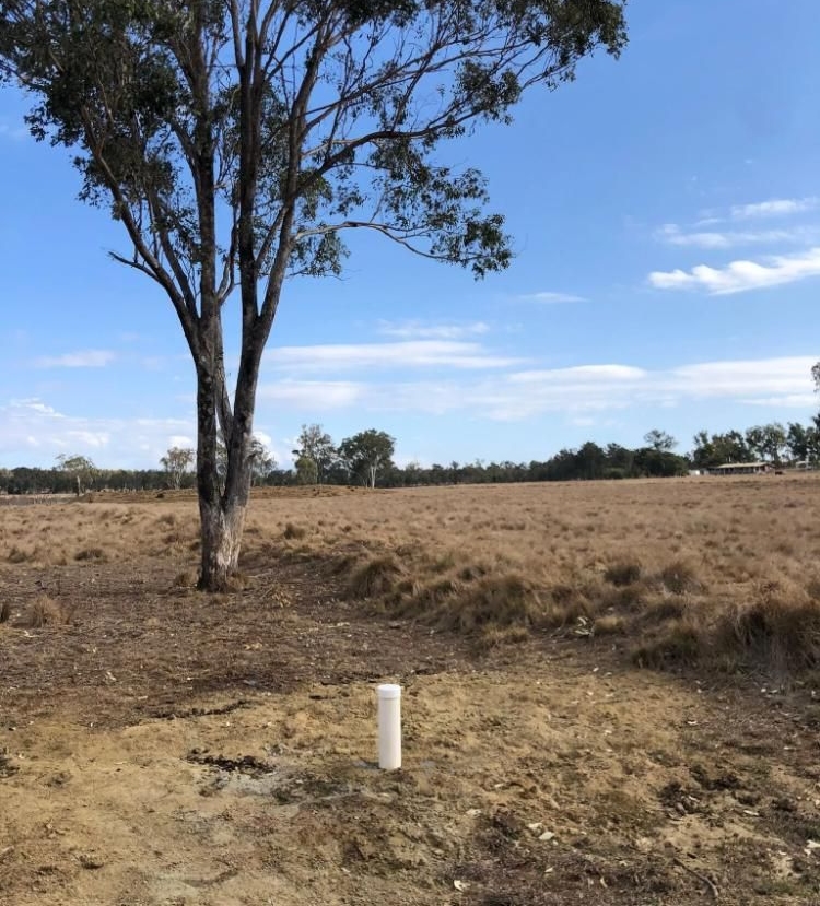 Brown Field With a Tall Tree in the Center — Local Drilling Services In South Burnett, QLD