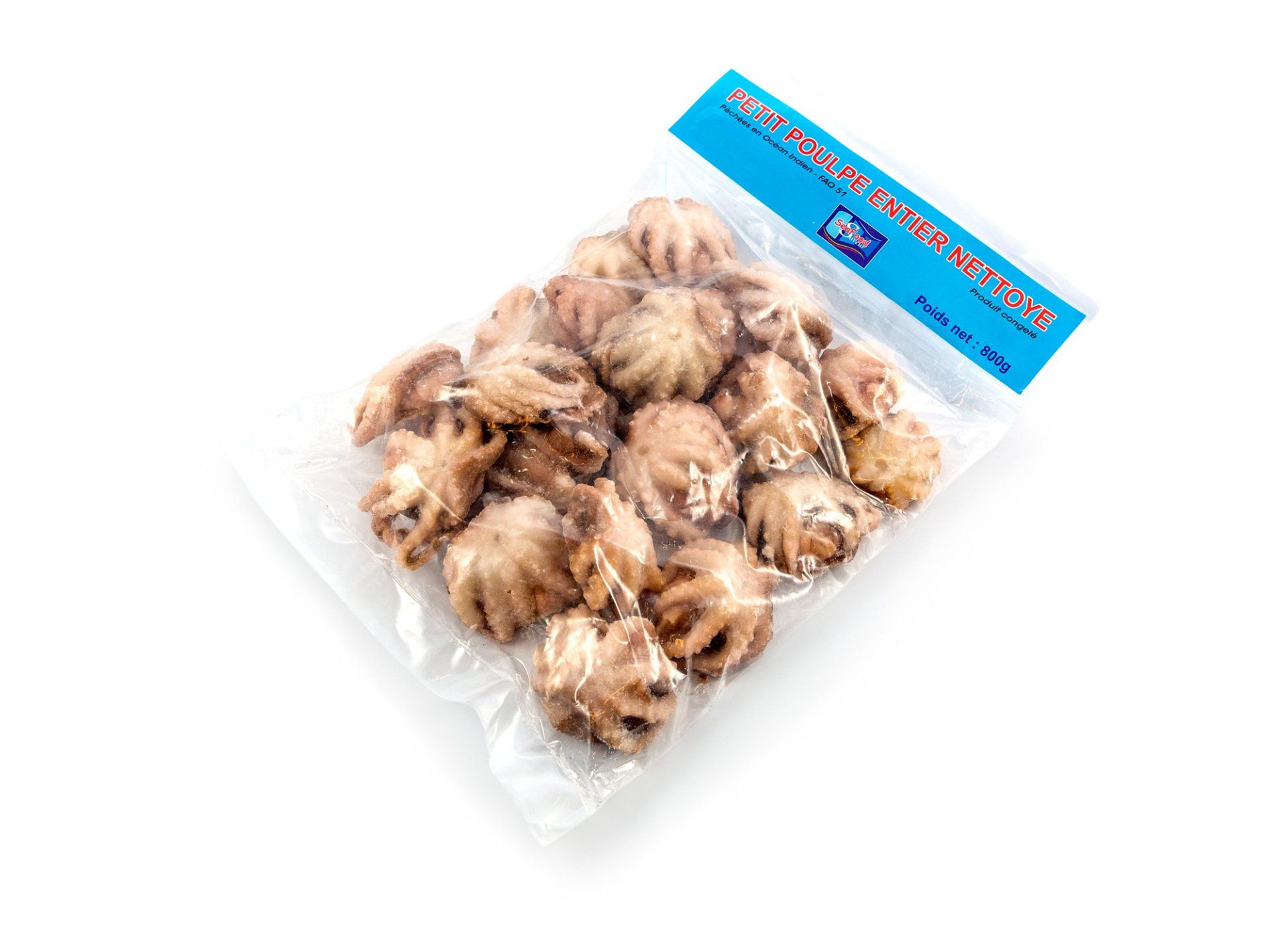 Petit poulpe entier nettoyé congelé