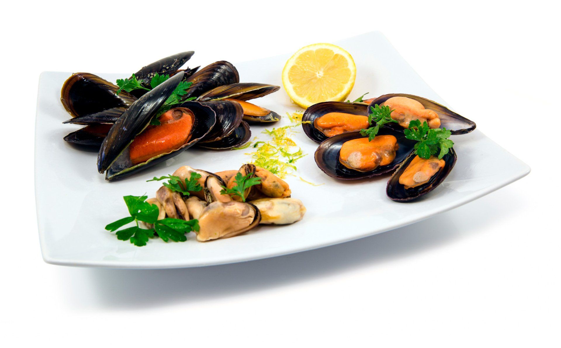 Mollusques