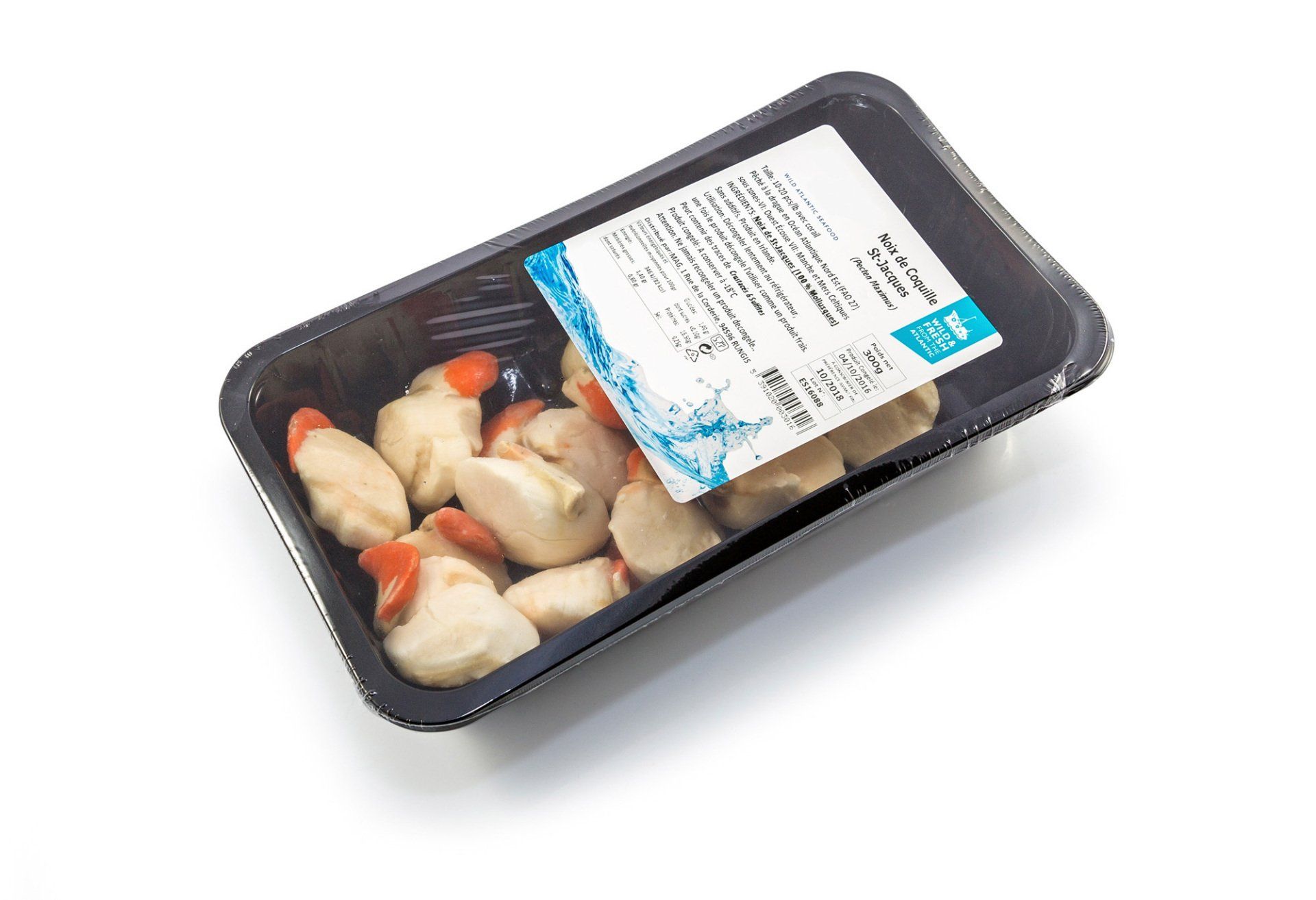 Noix de coquille St Jacques congelée