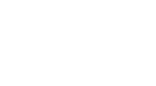 paw support