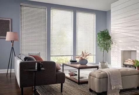 Living room with blinds, a sofa, coffee table, and a fireplace, with blue walls and natural light.