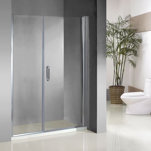 Swing Shower Door