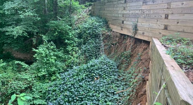 Overgrown ravine beside a concrete walkway and wall, covered in dense green ivy and trees