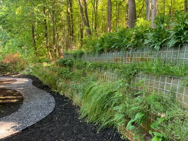 Curved garden path beside a green fern-covered retaining wall in a wooded landscape