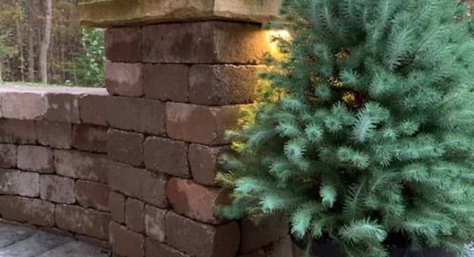 Brown brick wall beside a dense green shrub in an outdoor setting