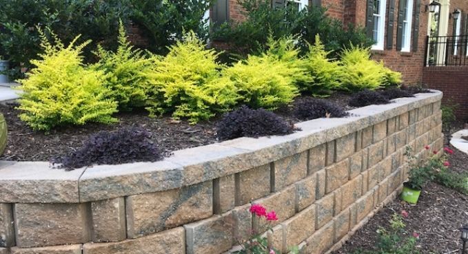 Tiered stone retaining wall with bright green shrubs and dark mulch beside a brick building