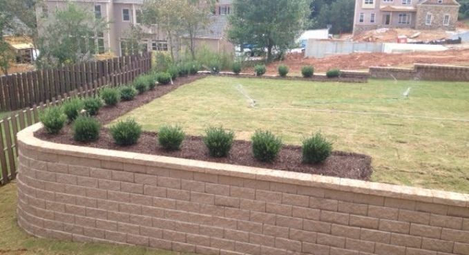 Raised backyard lawn bordered by a brick retaining wall and a row of small shrubs