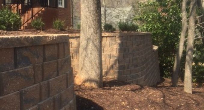 Stone retaining wall and tree trunks in a sunlit outdoor yard with mulch and a building in the background